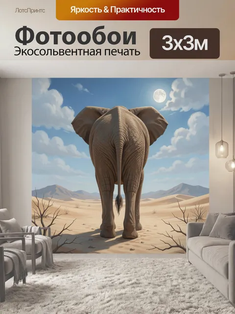 300 × 300 см · Экосольвентная печать