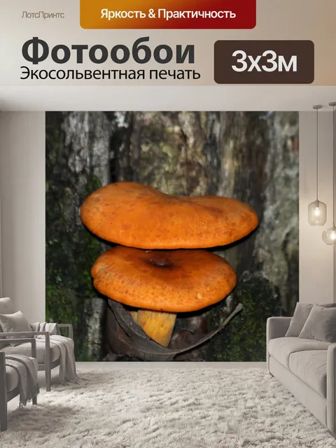 Фотообои Джек-о-фонарь грибы крупным планом