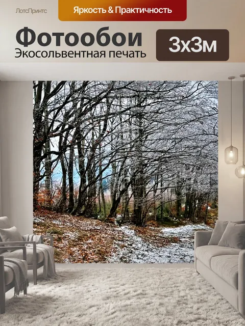 Фотообои Лес
