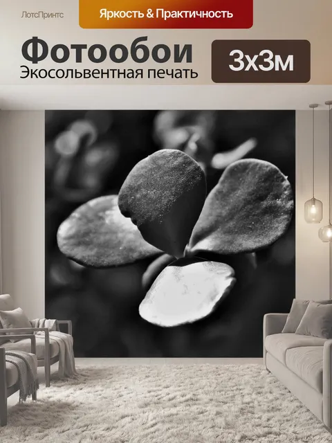 Фотообои черно-белый сочный лист