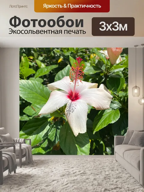 Фотообои Коппер Кинг Гибискус
