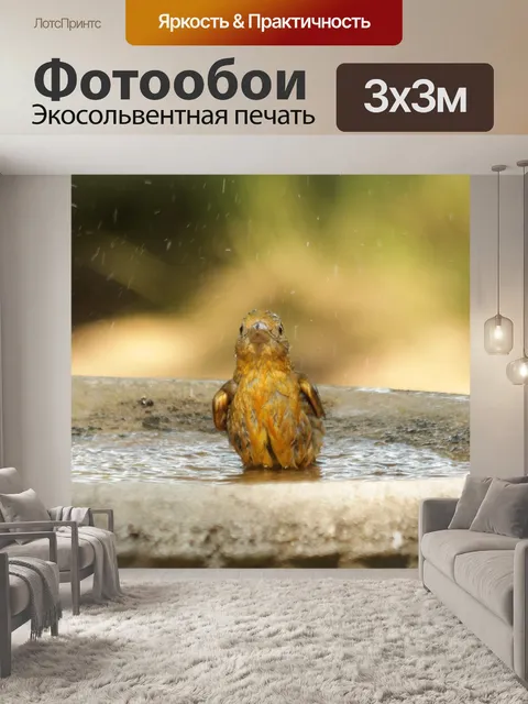 Фотообои Желтая птица плещется в ванне для птиц