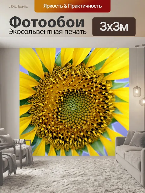 Фотообои Подсолнечник на синем фоне