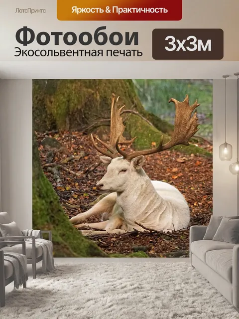 Фотообои Белая лань