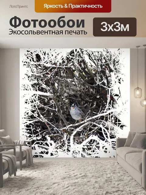 Фотообои Воробей в веточке