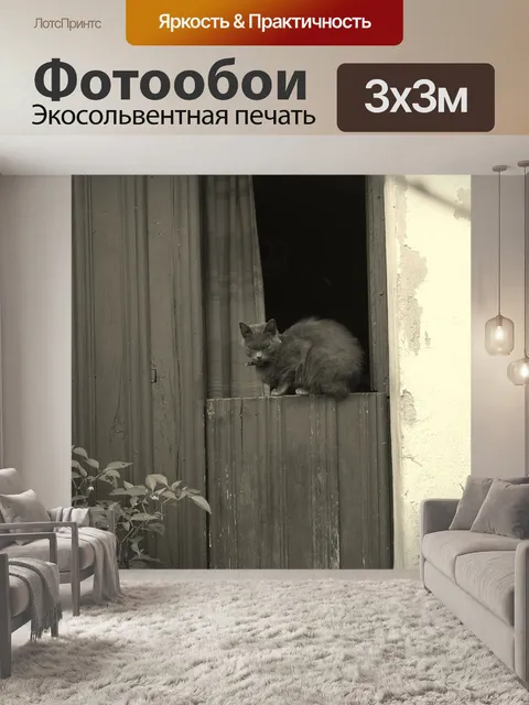 Фотообои Черное и белое