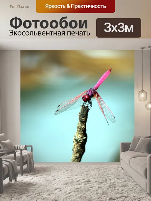 Фотообои розовые стрекозы танцуют на палке