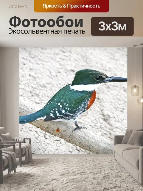 Фотообои Зеленый зимородок