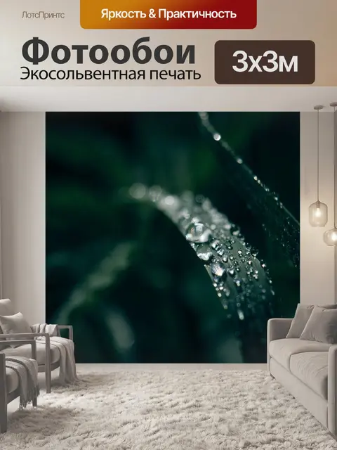 Фотообои Роса