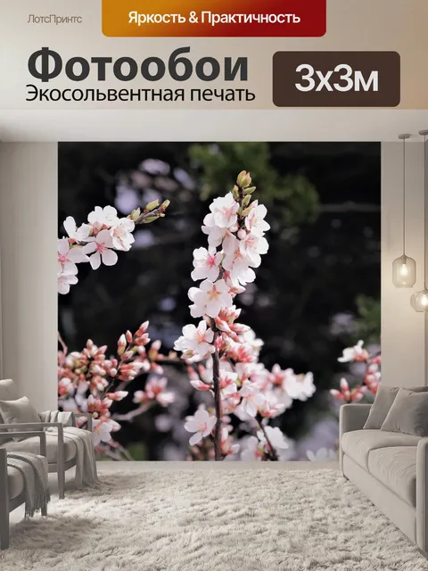 Фотообои Вишни в цвету