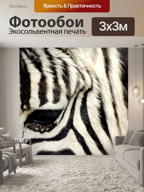 Фотообои Зебра