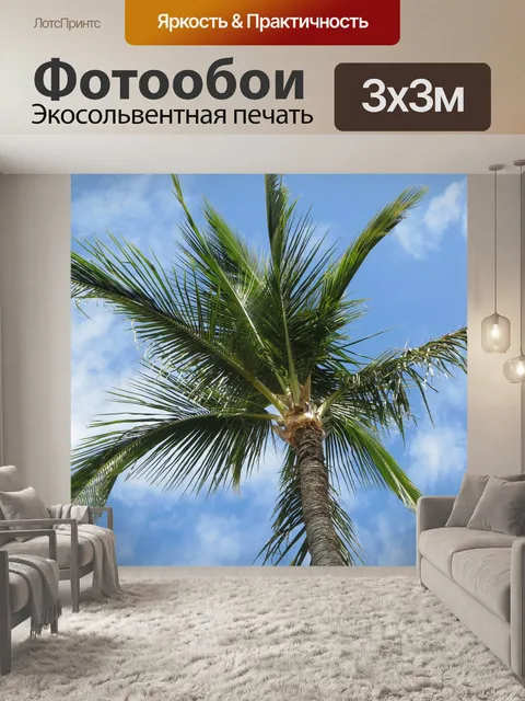 Фотообои Пальма