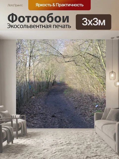 Фотообои Лес ходьбы