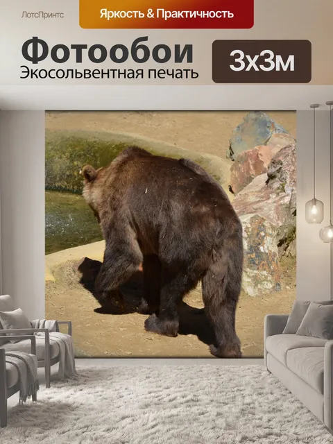 Фотообои Бурый медведь 02