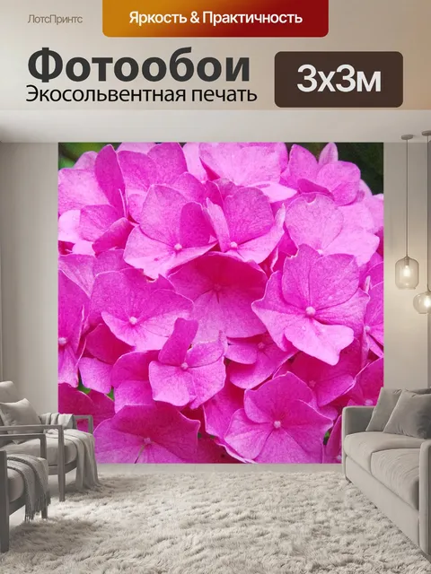 Фотообои Гортензия