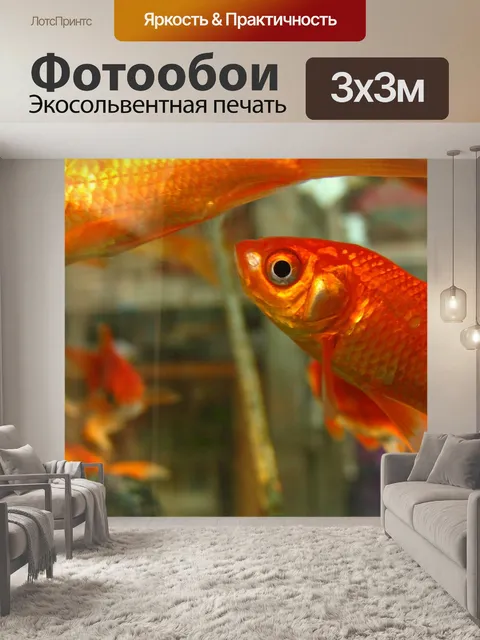 Фотообои Золотая рыбка