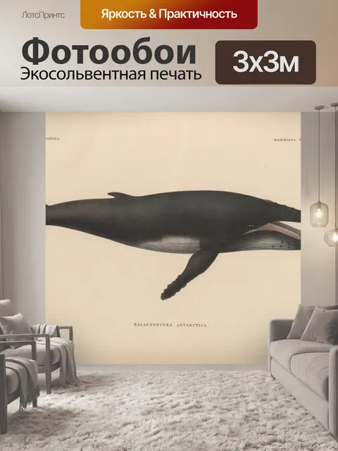 Фотообои Винтажная иллюстрация китов синий кит