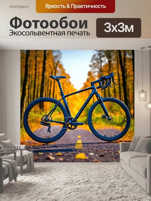 Фотообои спортивный велосипед с зеркальным покрытием, отражающим небо, на фоне лесной тропы