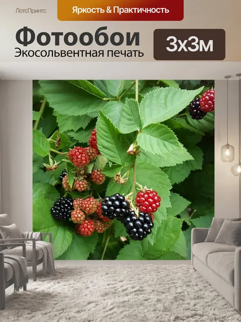 Фотообои Ягоды