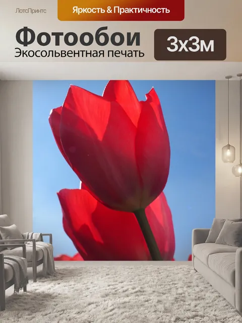 Фотообои Тюльпаны