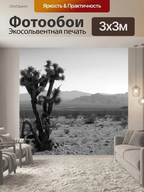 Фотообои Невада в пустыне Кактус Пейзаж