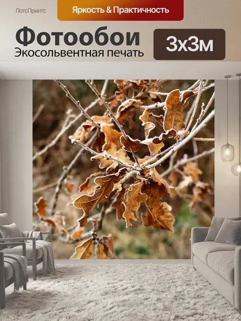 Фотообои Дубовые листья