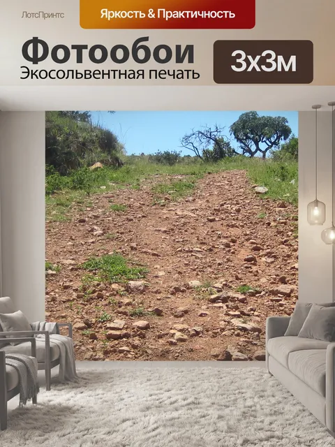 Фотообои Скалистый путь