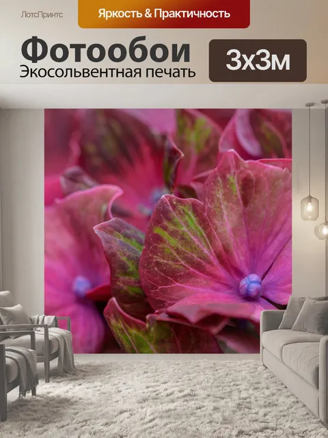 Фотообои Гортензия