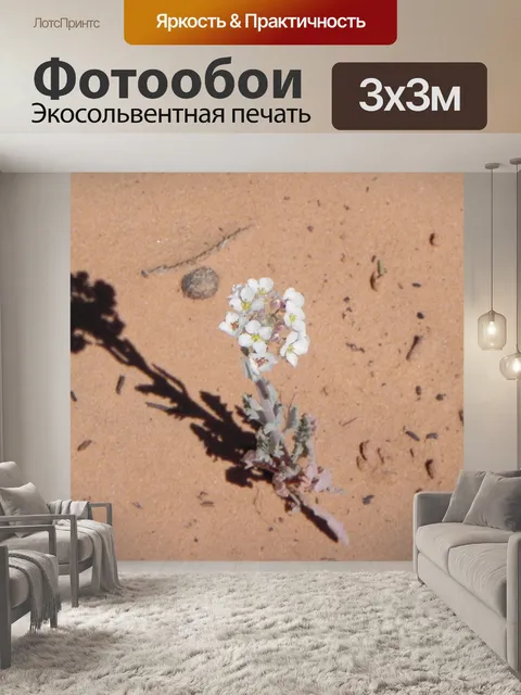 Фотообои Цветок пустыни