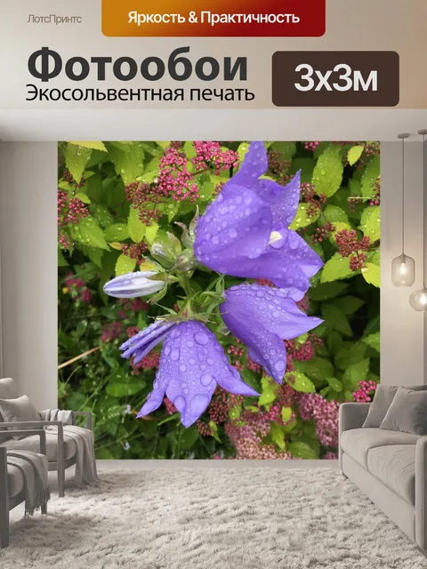 Фотообои Капли дождя