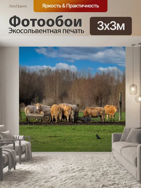 Фотообои Коровы, коровы
