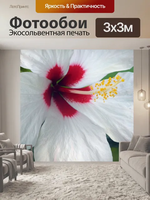 Фотообои Белый и красный цветок