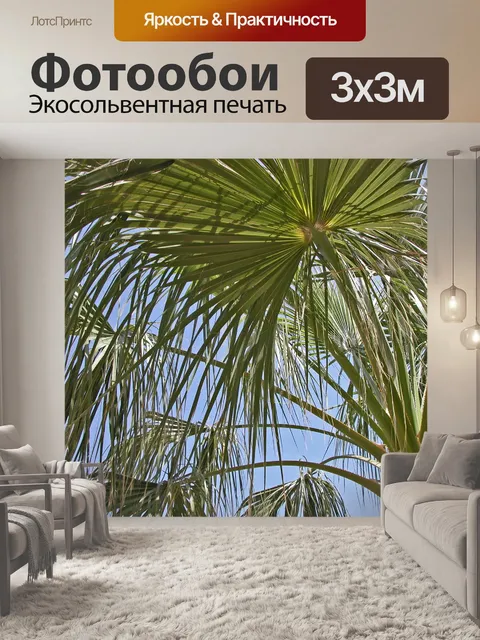 Фотообои Пальма