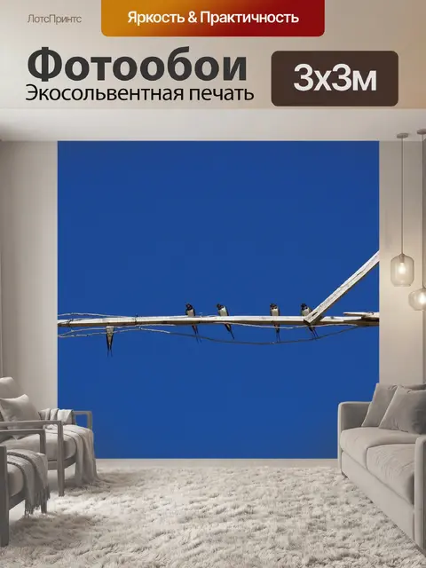 Фотообои Глотать
