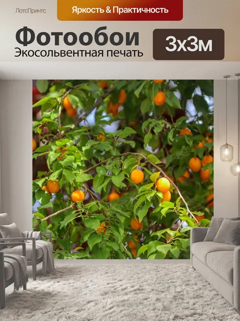 Фотообои Сливовый оранжевый