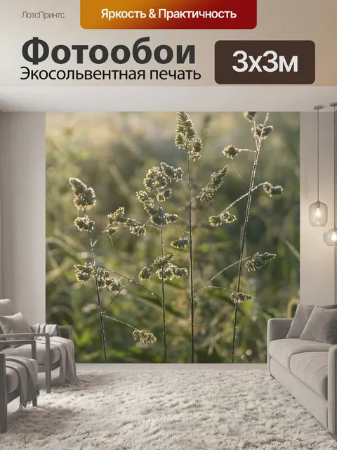 Фотообои Background