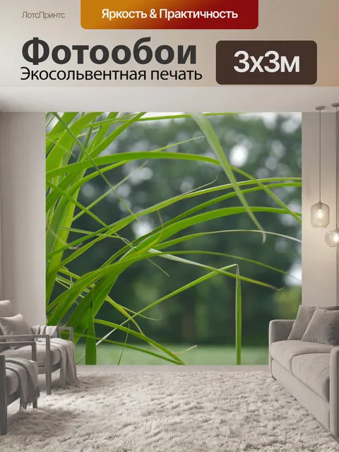 Фотообои Трава