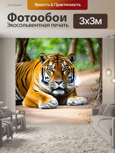 Фотообои тигр, уставший после охоты, лежащий в тени