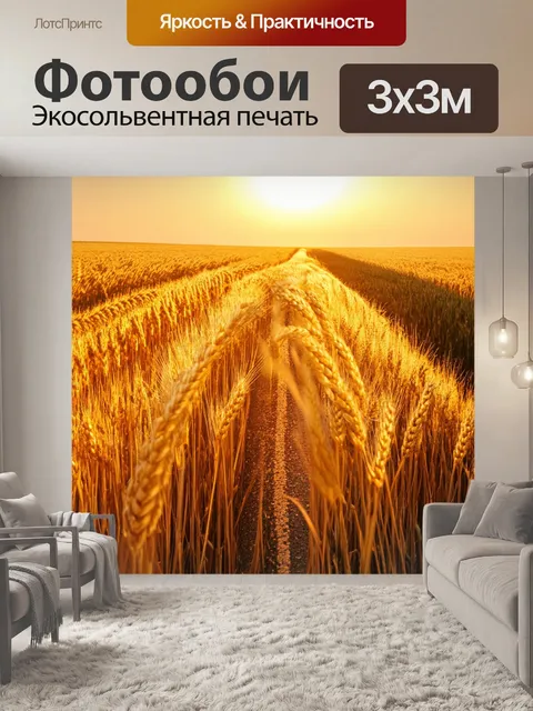 Фотообои закат на дороге среди пшеничных полей
