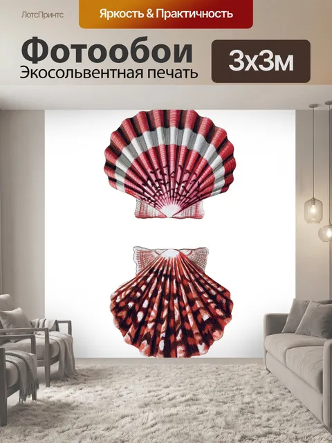 Фотообои Винтажное искусство из ракушек