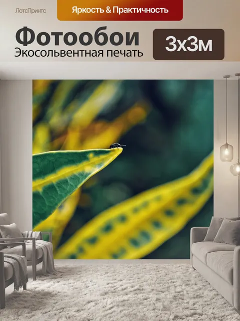 Фотообои Лист