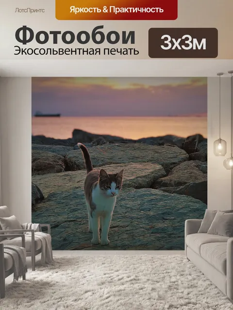 Фотообои Кошка