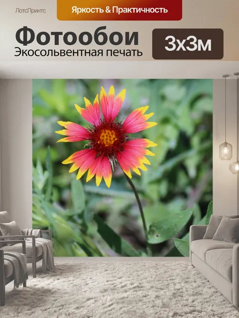 Фотообои Дикий индийский цветок одеяла