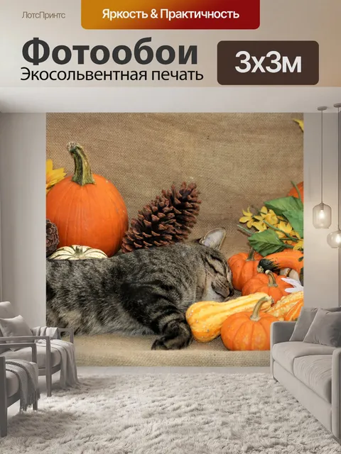 Фотообои Кот спит с тыквами