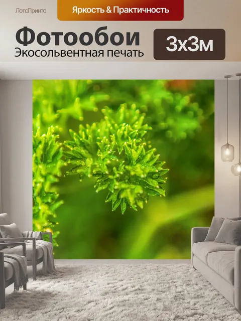 Фотообои петрушка