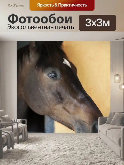 Фотообои Лошадь