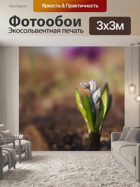 Фотообои Сад