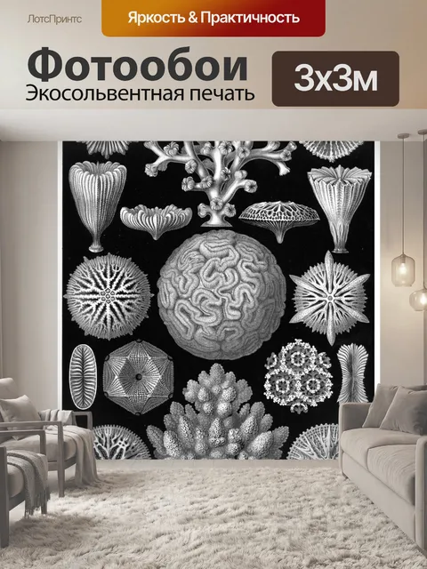 Фотообои Старинный старый Эрнст Геккель