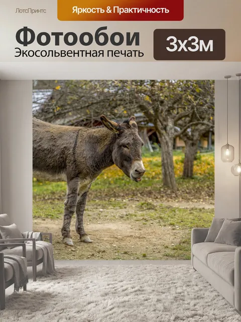 Фотообои Осел, пасущийся в горах