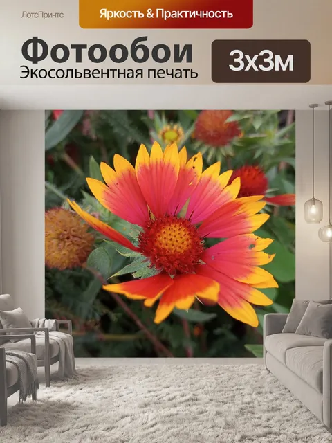 Фотообои красный и желтый цветок
